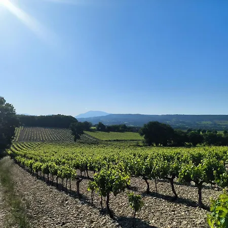 A La Ferme, Le Jardin Bleu, Le Apartmán